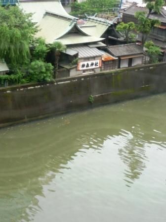 イメージ 6