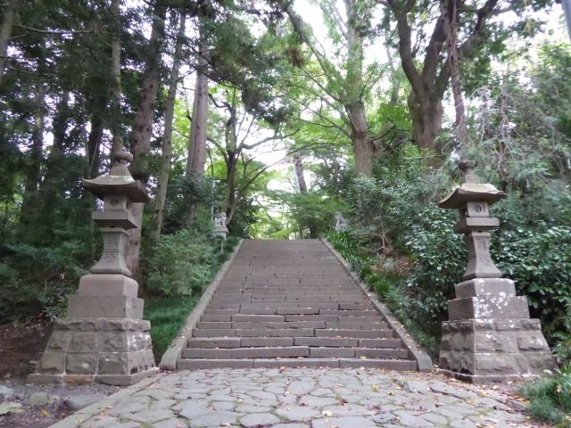 イメージ 10