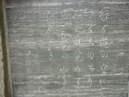 イメージ 4