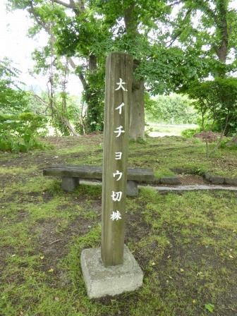 イメージ 26