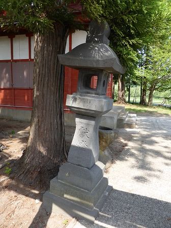 イメージ 6