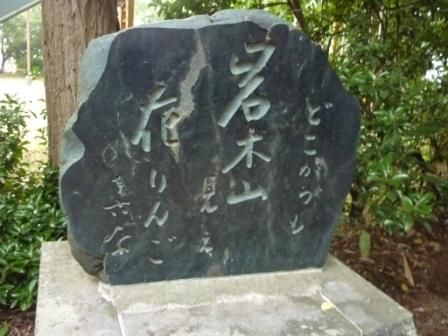イメージ 10