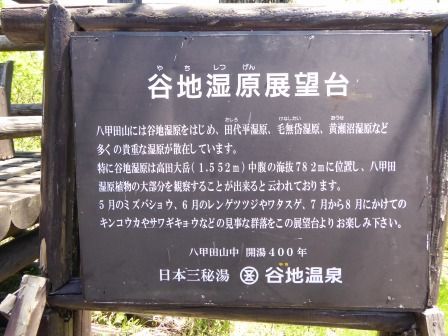 イメージ 8