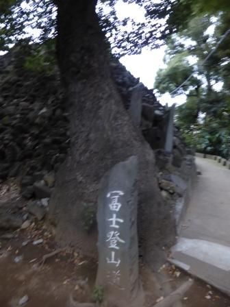 イメージ 48