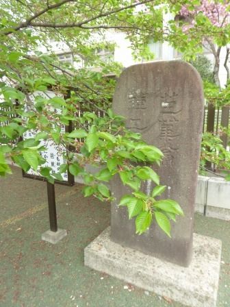 イメージ 36