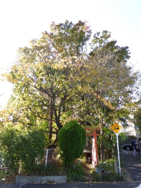 イメージ 7