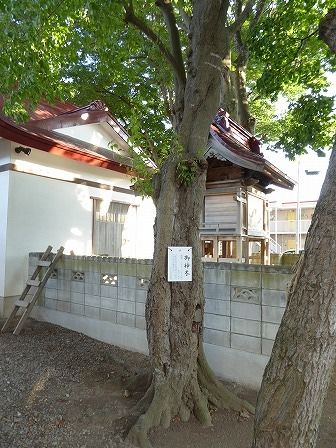 イメージ 15
