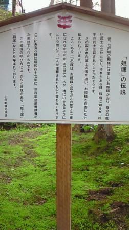 イメージ 7