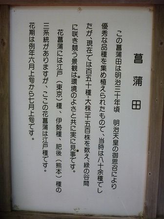 イメージ 19