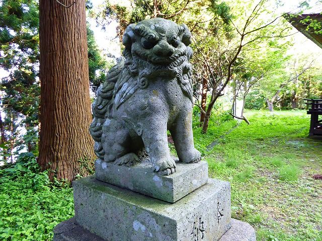 イメージ 23