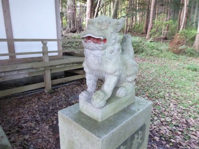 イメージ 6