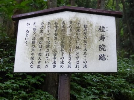イメージ 14
