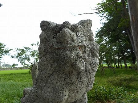 イメージ 14