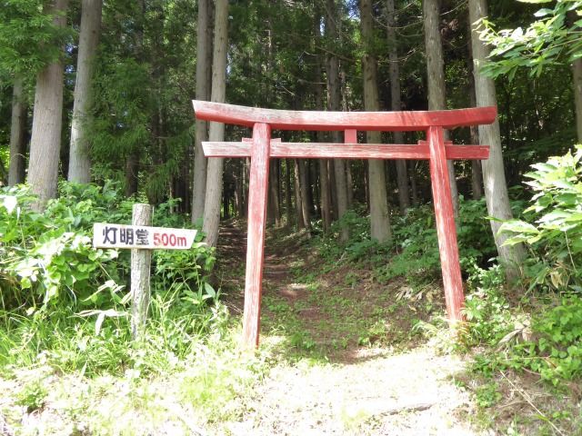 イメージ 11