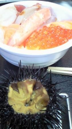 イメージ 5