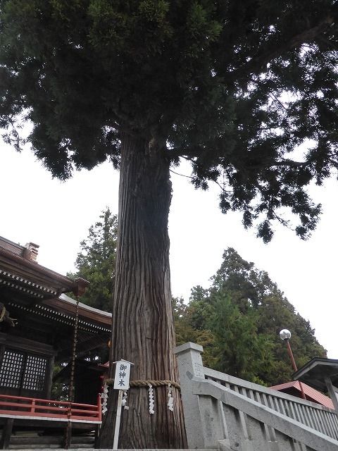 イメージ 3
