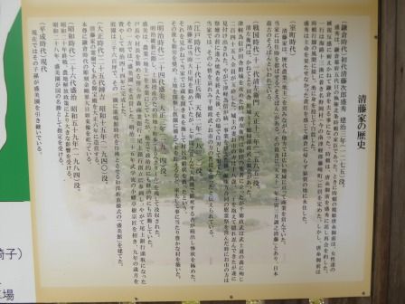 イメージ 7