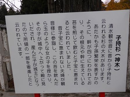 イメージ 36