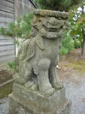 イメージ 17