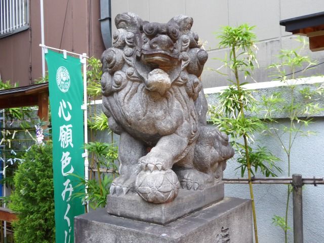 イメージ 6