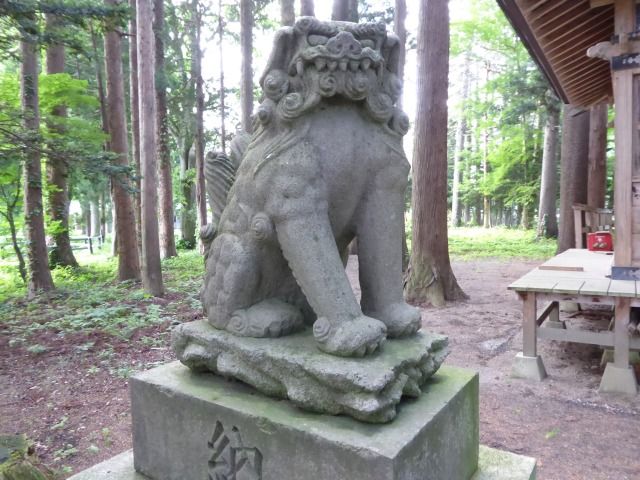 イメージ 17