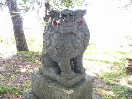 イメージ 12