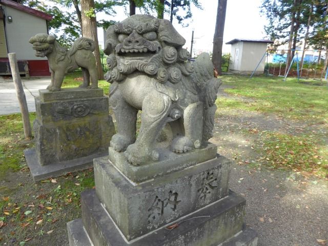 イメージ 14