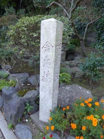 イメージ 44