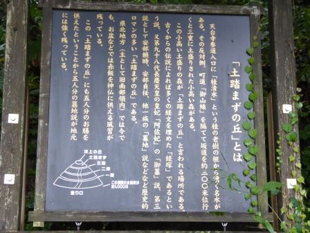 イメージ 12