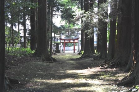 イメージ 2