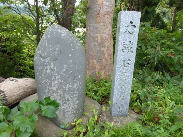イメージ 19