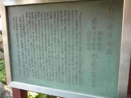 イメージ 40