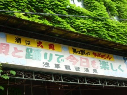 イメージ 15