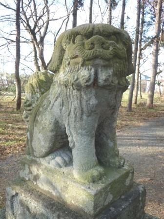 イメージ 7