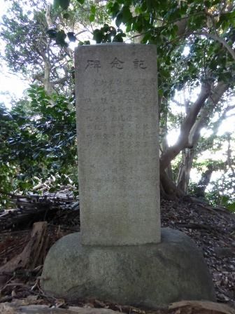 イメージ 37
