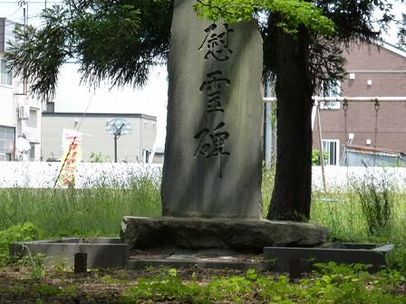 イメージ 38