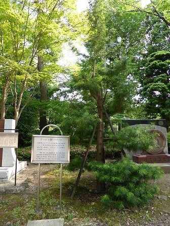 イメージ 18