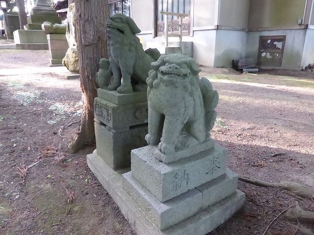 イメージ 42