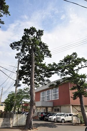 イメージ 8