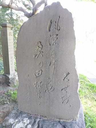 イメージ 41