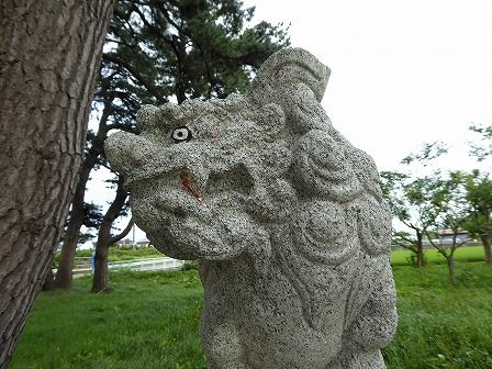 イメージ 12