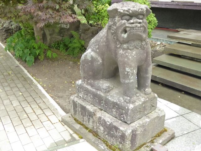 イメージ 7
