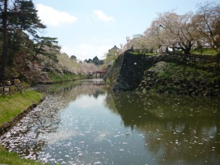 イメージ 8
