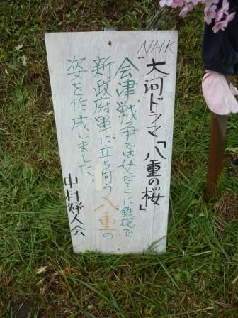 イメージ 10