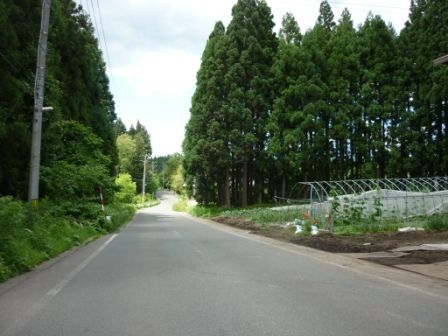 イメージ 5