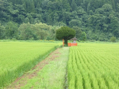 竈門亀千代