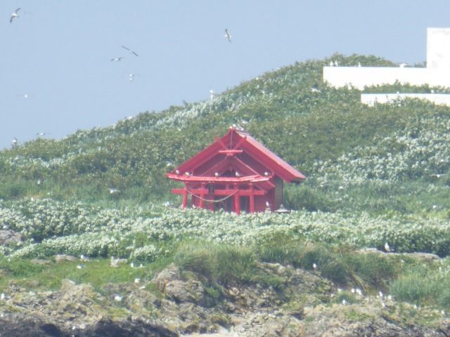 イメージ 5