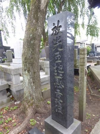 イメージ 17