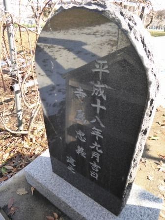 イメージ 6