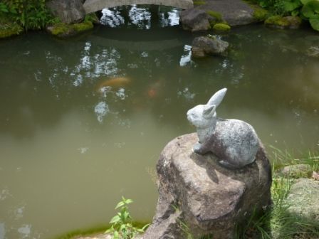 イメージ 5